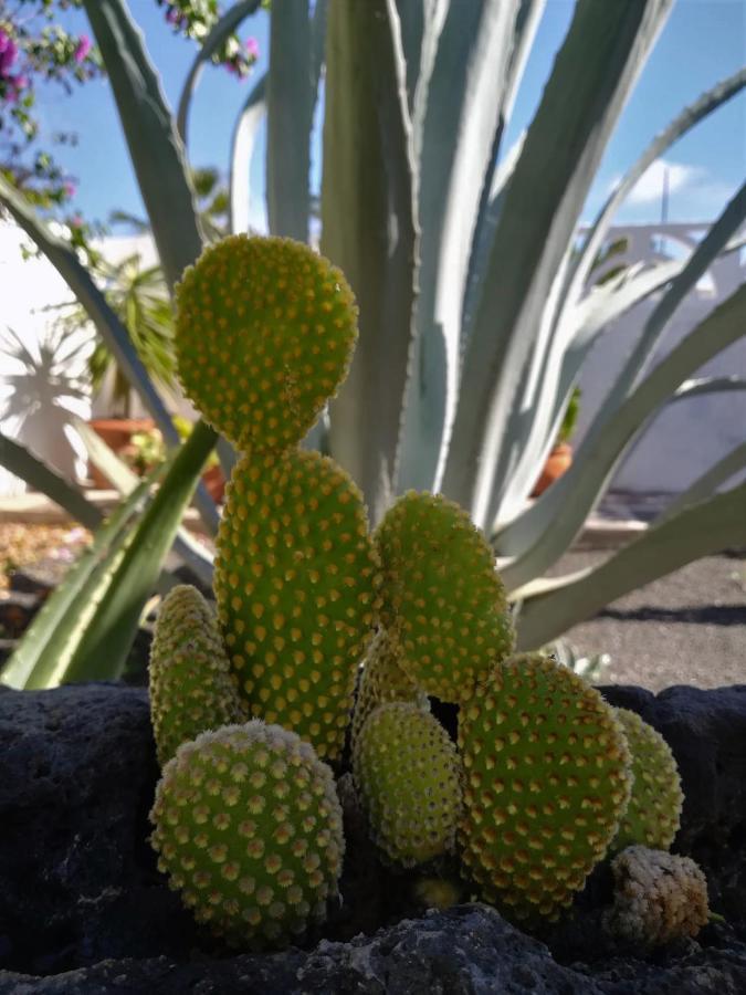 Casa Azmira Del Mar Villa Guatiza Eksteriør billede
